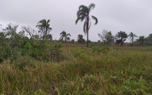 Terreno à Venda