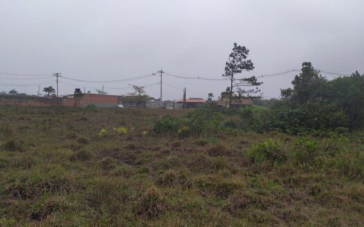 Terreno à Venda