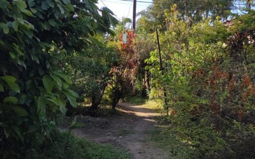 Terreno à Venda Iguape
