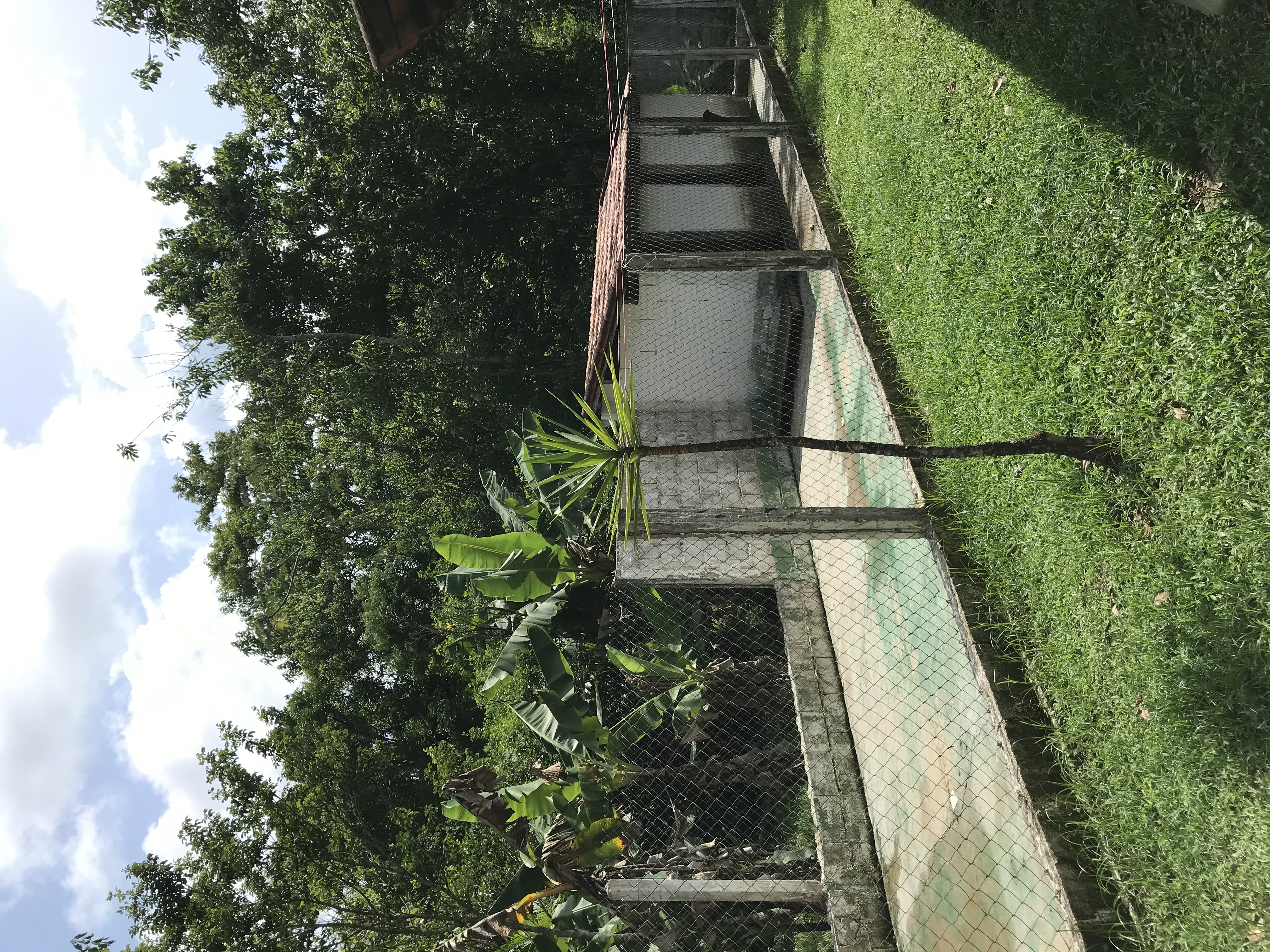 Sítio em Iguape